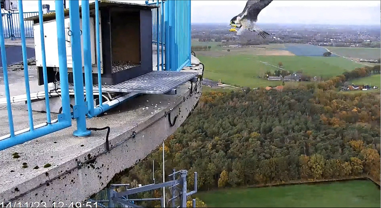 screenshots va 2 november 2023 © VWGGemert - Pagina 4 2023-11-14-125646