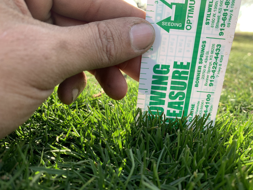 2020 start vs 2019 fall Lawn Care Forum