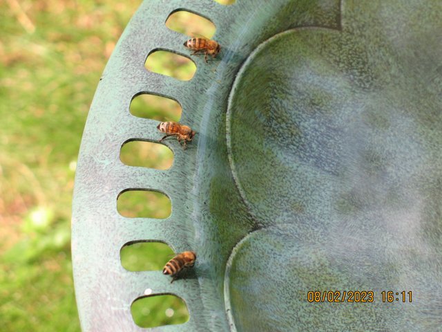 IMG-6240.jpg