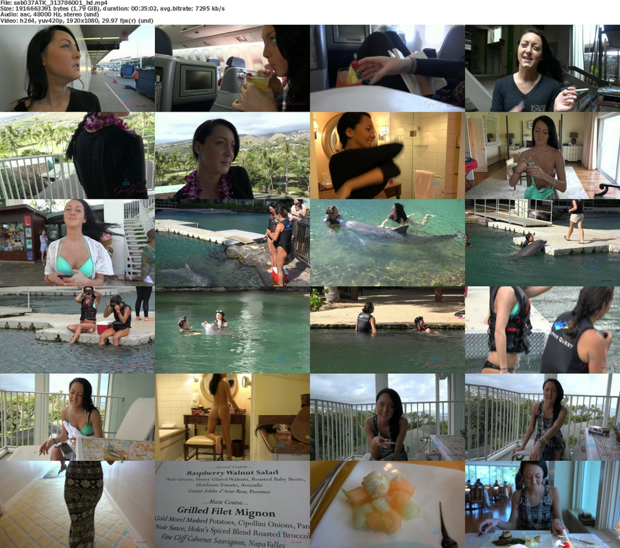 15112024003720screenshot