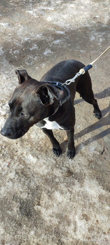 WhatsApp Image 2024-03-14 at 12.24.00 (1)