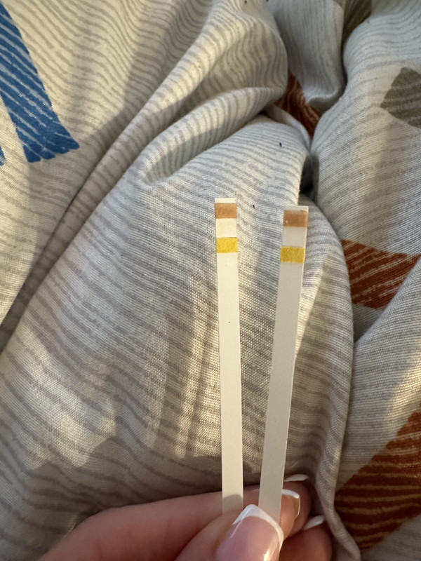 1493D4BE-A6FF-4916-8F83-66D248ACA0DD