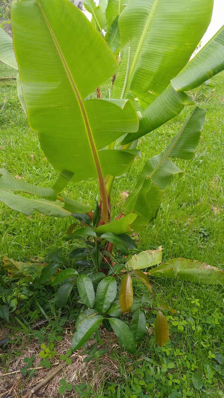 20170513_073539 (Copier)