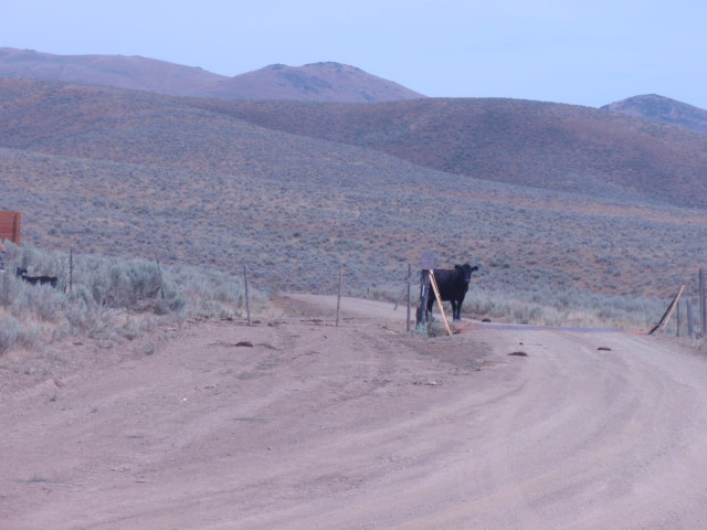 P8012081