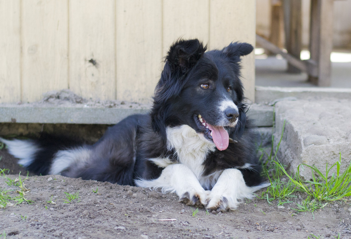 Фортуна_04_19_м7