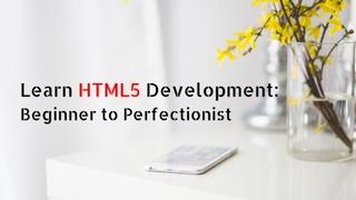 Learn HTML5 Development Beginner to Perfectionist