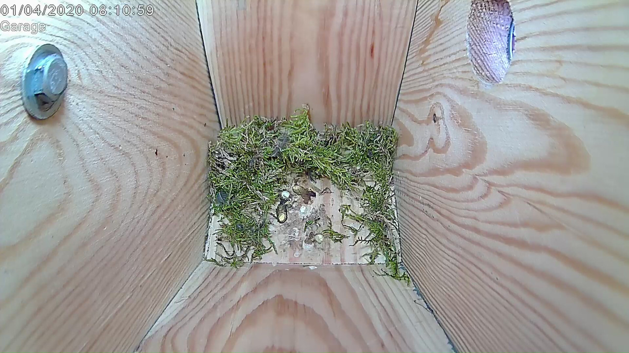 2759256C-CF1A-4876-B188-F46C37BE4392