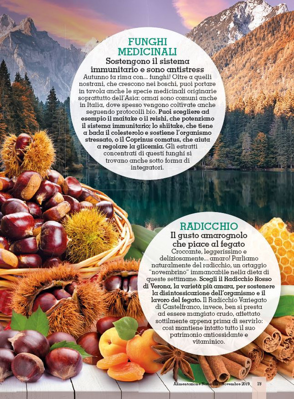 Alim Nat Nov 2019 (2)