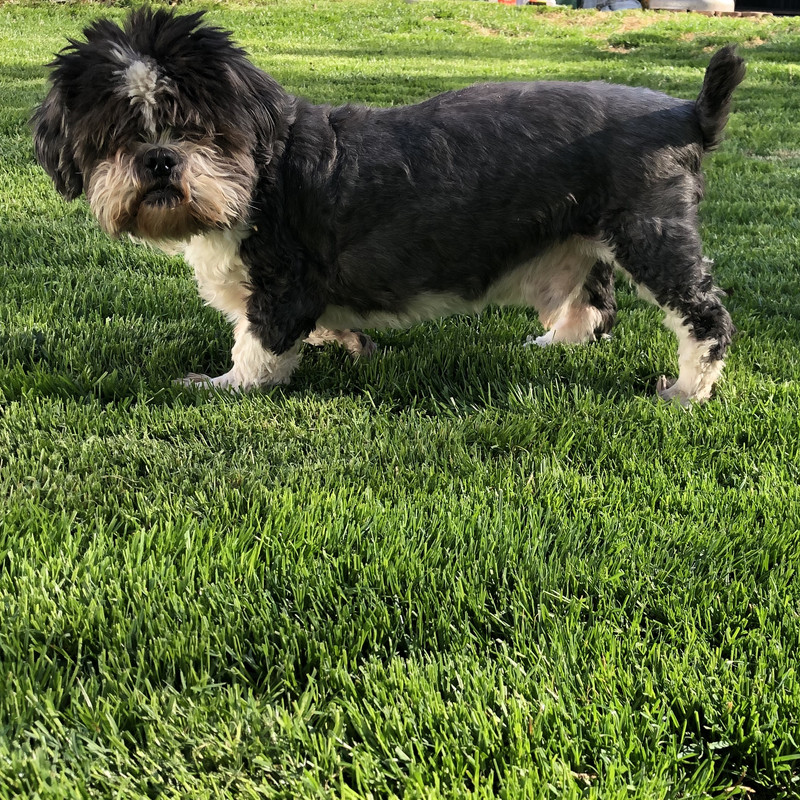 463DE922-68A8-400B-8EC8-792E6EB85B65