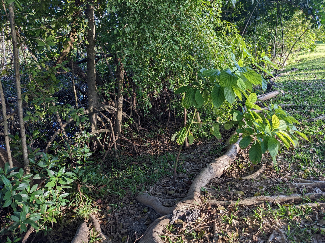 PXL_20211225_204213697