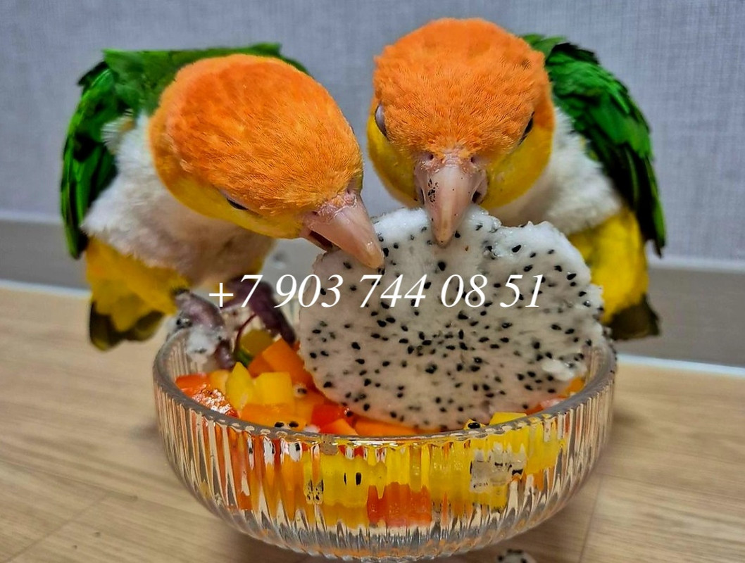 Копия Screenshot_20240422_220952_Instagram