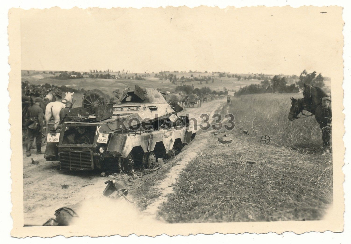 Foto Pferde Gefechtswagen am Panzerspähwagen Wrack ! 168. ID ! U