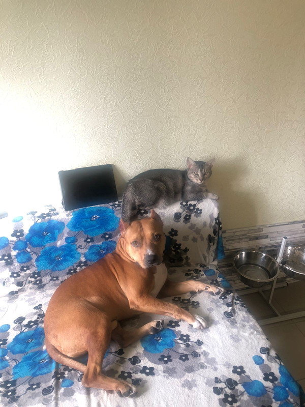 3D7DFFF8-18E7-4415-98A3-CE47585EC251