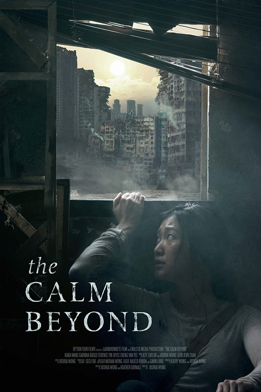 The Calm Beyond 2022 HDRip XviD AC3-EVO