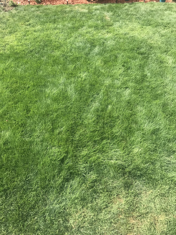 74C4E2FB-4670-43B0-9514-78DE9C0C9C05