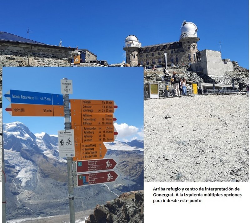 Suiza: nueve días en transporte público. - Blogs de Suiza - Dia 21: Zermatt: Gornergrat (6)