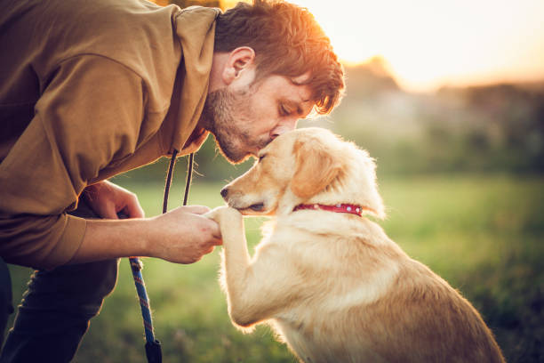 Best Dog Training Near Me