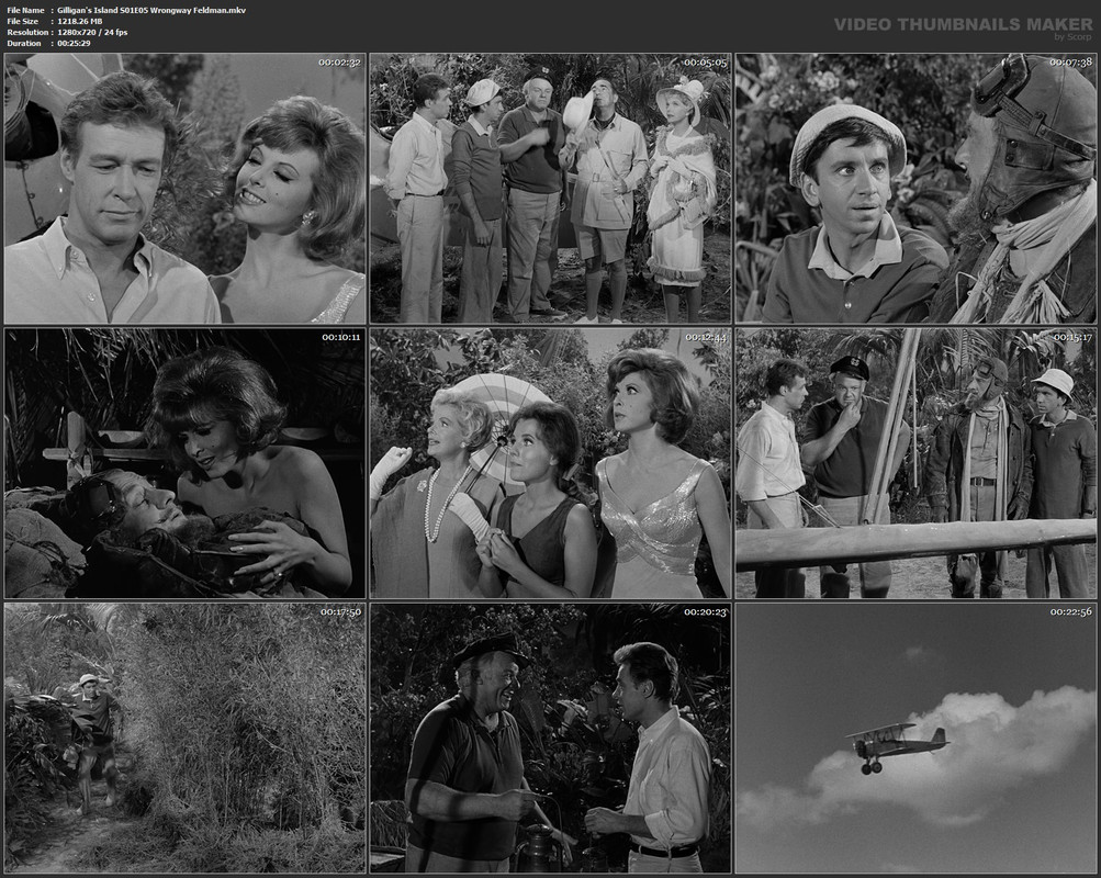Gilligan's Island S01E05 Wrongway Feldman.mkv