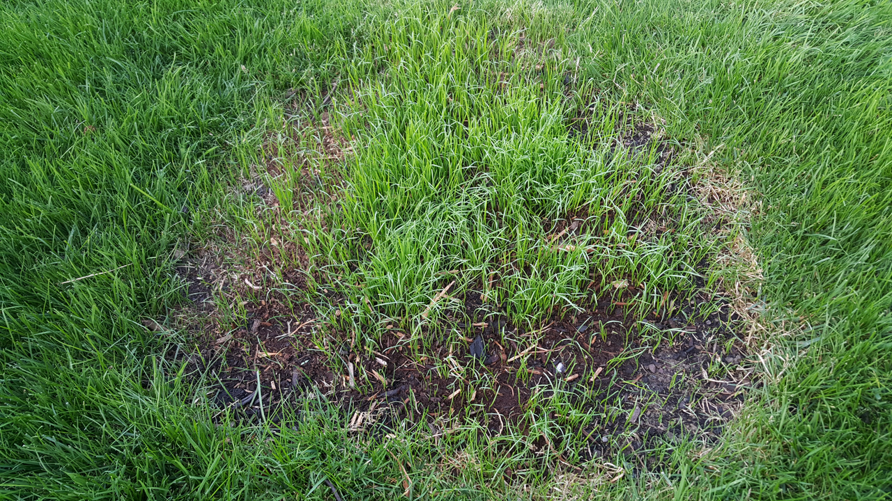 Screenshot_20170911-180020