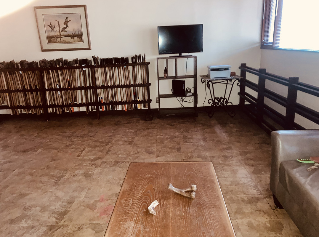 9BC76AF1-2C31-4D11-AA6B-795A10B785F4