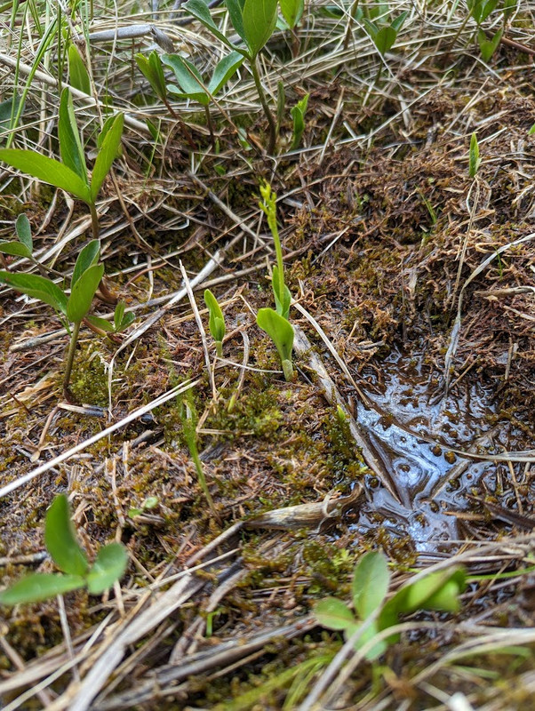 PXL_20230603_104545544