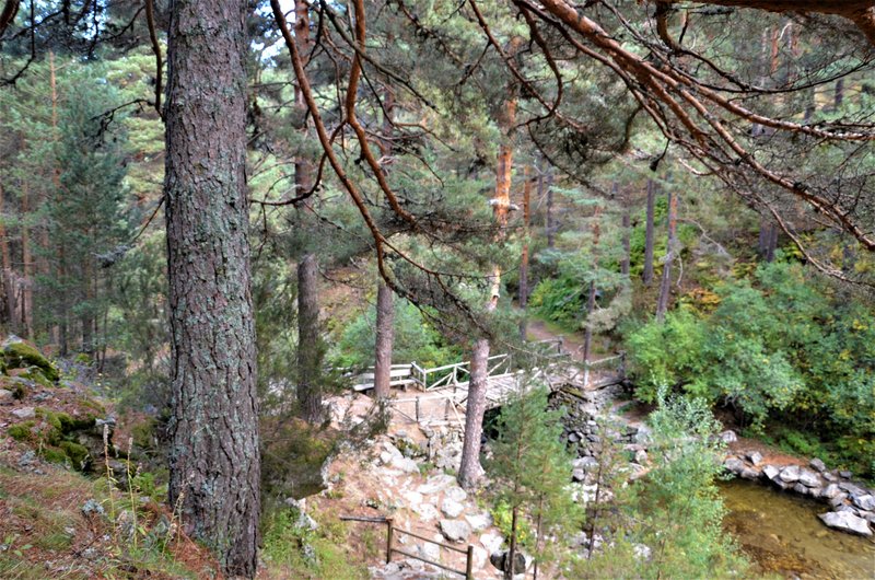 EL CHORRO DE NAVAFRIA-23-10-2013-SEGOVIA - Paseando por España-1991/2024 (52)