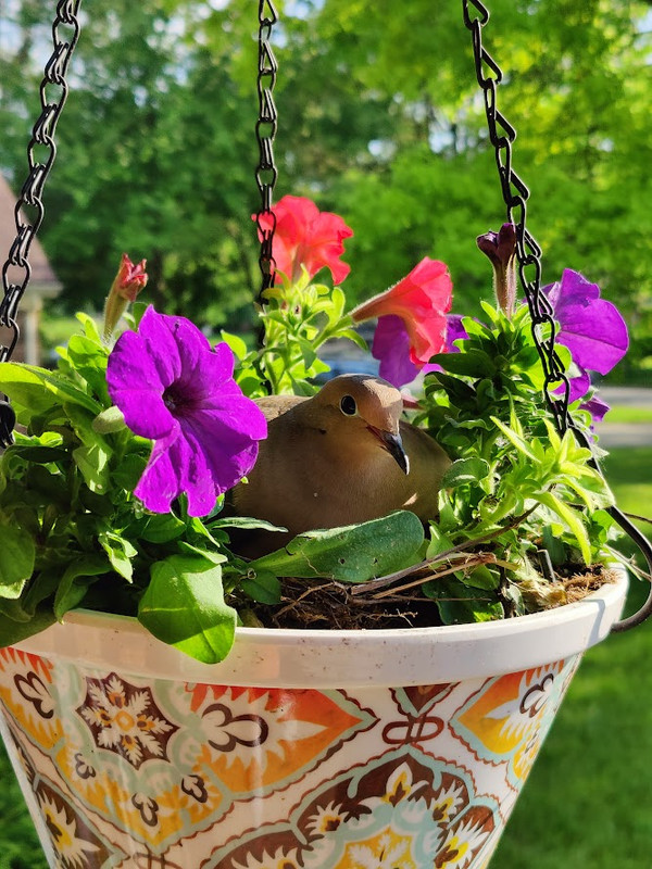 IMG20240521182727 (1)