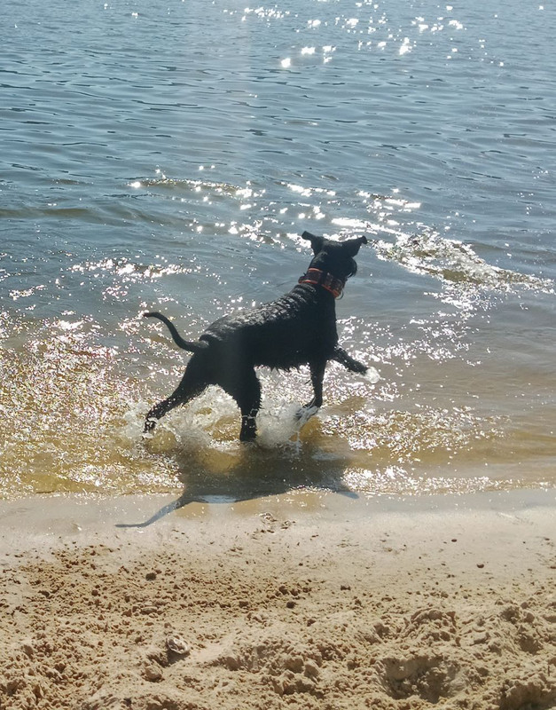 photo_2025-09-04_15-34-29 (3)