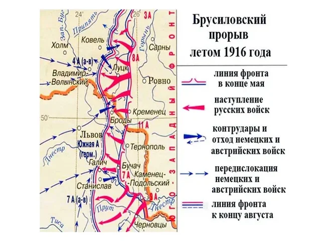 https://i.postimg.cc/nczDZYkb/scale-1200.webp