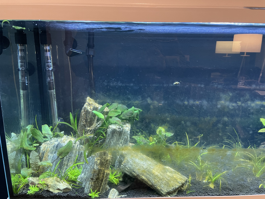 EB3FD899-C7D9-4481-8E8C-1ED332808970