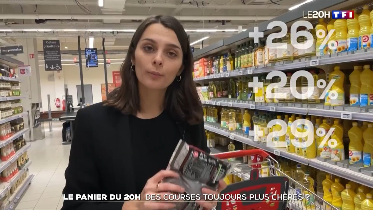 2023-01-11_20_00_TF1_Le-20h.mp4_snapshot_00.29.42.458