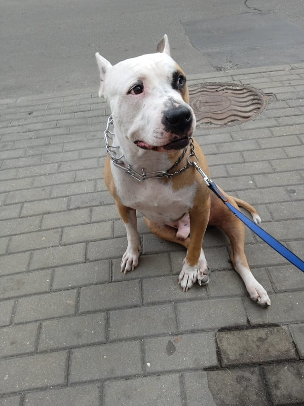 636A8810-CB38-40AF-861D-64851894FD14