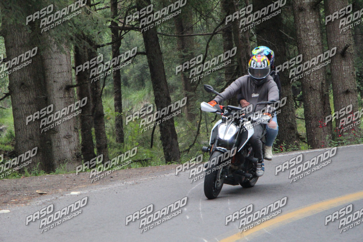IMG 1778 wm 2851154 2 watermarked — Postimages
