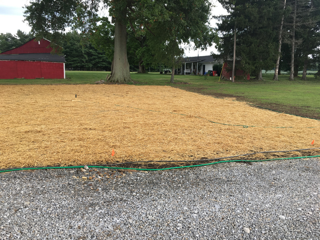 5EF0391B-1299-4D6C-BD81-681B41E84771