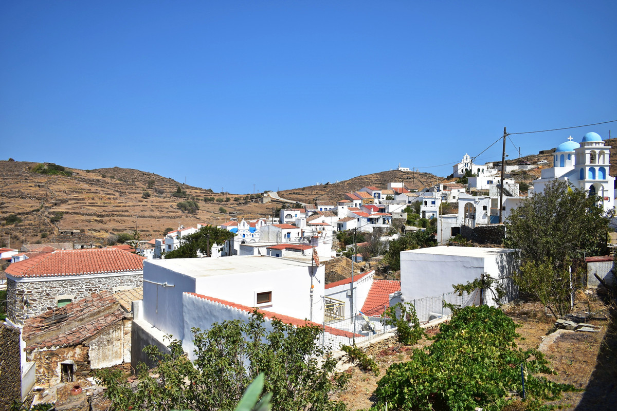 Δρυοπίδα (38)