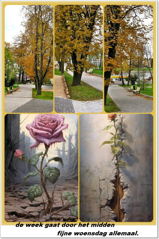 Klik op de afbeelding om de link te volgen