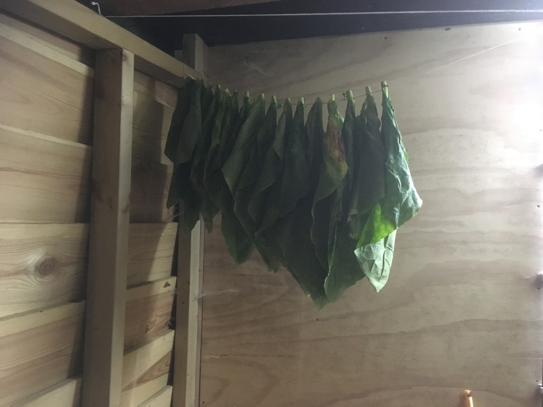 53932F24-A105-4B7E-BEC1-0160F32E29B9