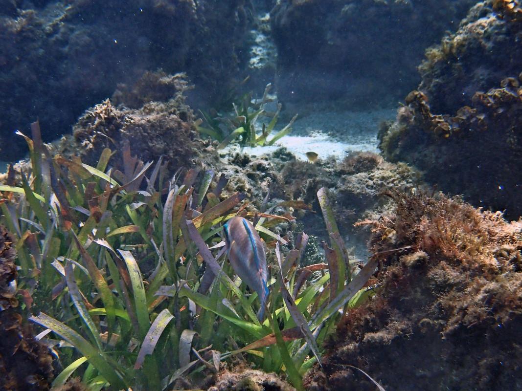 261629110_10162975770907355_4640786591011143788_n