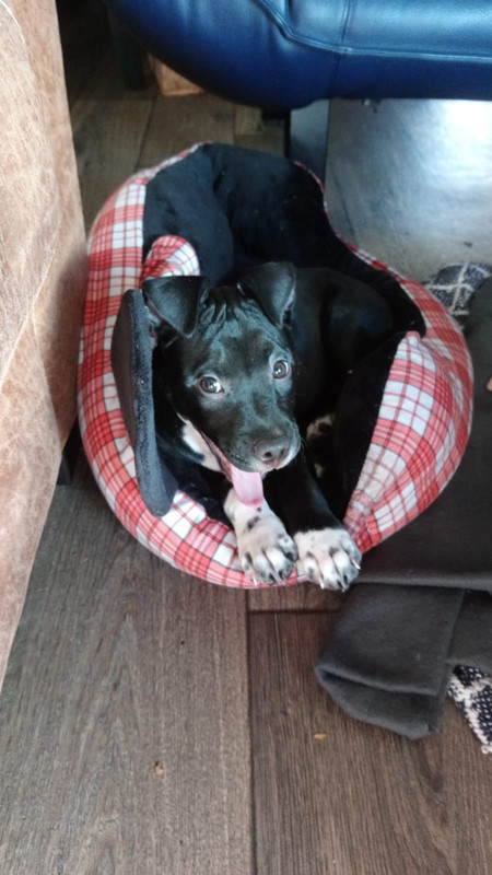 69BCB8C9-B198-4177-BF33-A6BECF50C70A