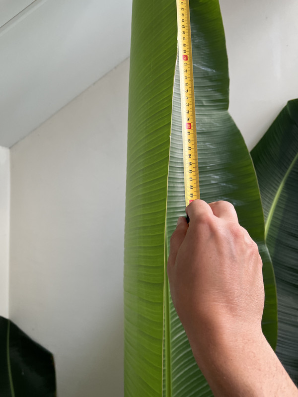 FFB31459-530E-4185-9482-10789C0AFDAC