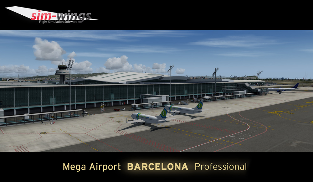 barcelona-professional (18)