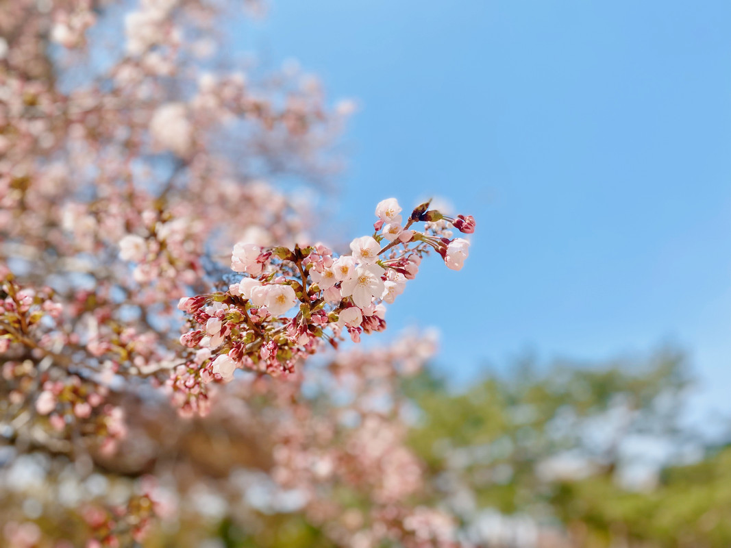 휴가를 맞이하여 나들이 다녀왔습니다 | 인스티즈