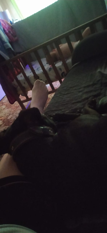 24A8C6EE-161C-449B-B5E7-C46FAE77D081