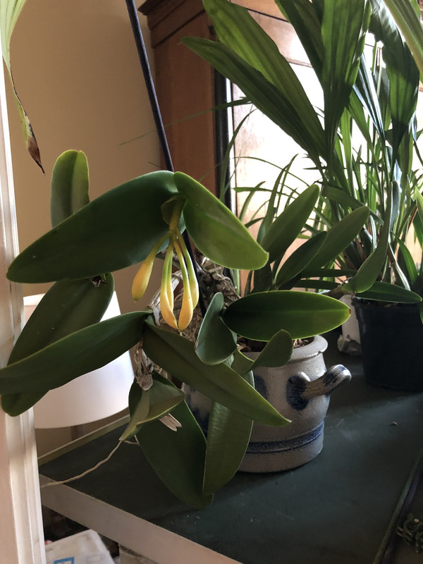 A38D1541-DA2C-47D9-94F3-58FABB460D43