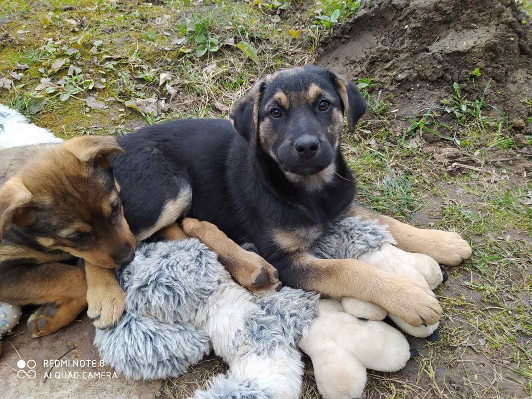 изображение_viber_2020-03-09_18-23-22