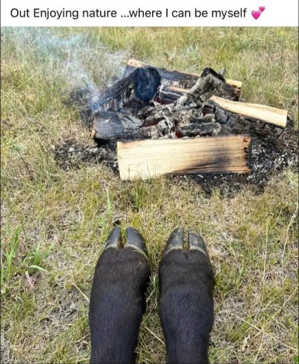 [Image: Camp.jpg]