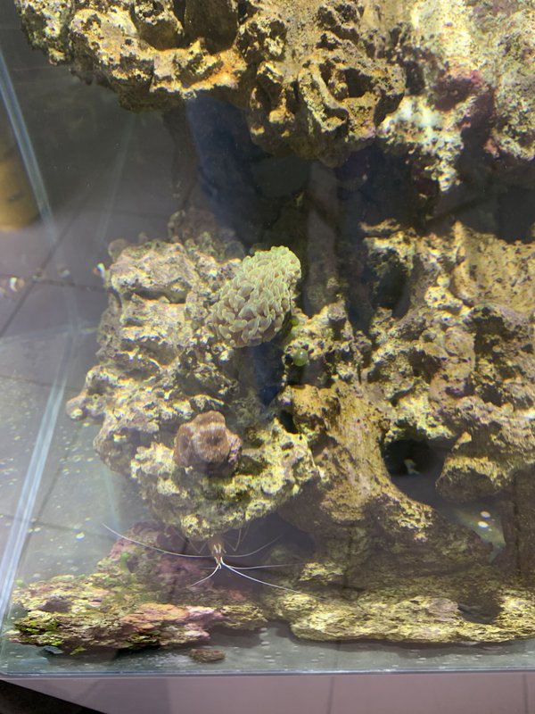 C9425BD3-9320-4589-8355-013BF45D9198