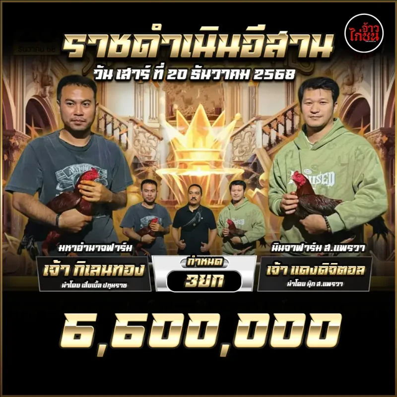 ตารางแข่งขันไก่ชน สนามไก่ทองอินเตอร์ 20 ธันวาคม 2568