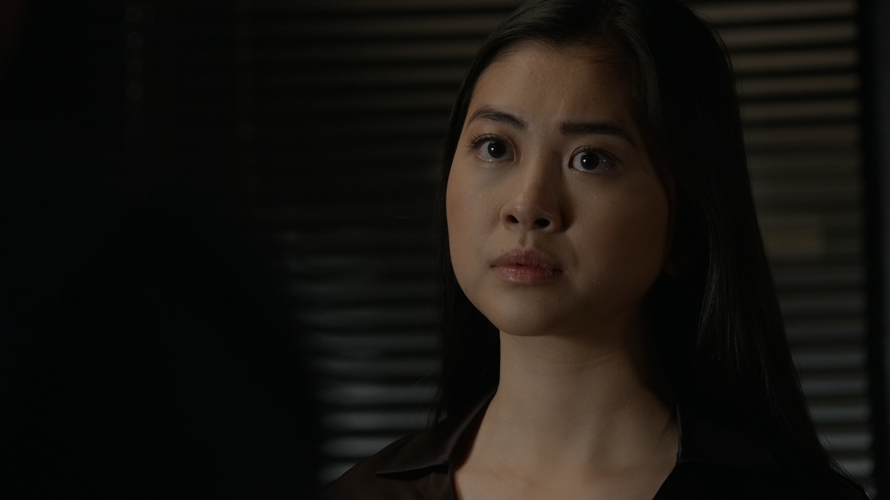 The.Blacklist.S09E11.The.Conglomerate.1080p.10bit.AMZN.WEB-DL.DDP5.1.HEVC-Vyndros.mkv_snapshot_17.16