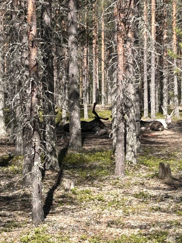 IMG-1588.jpg